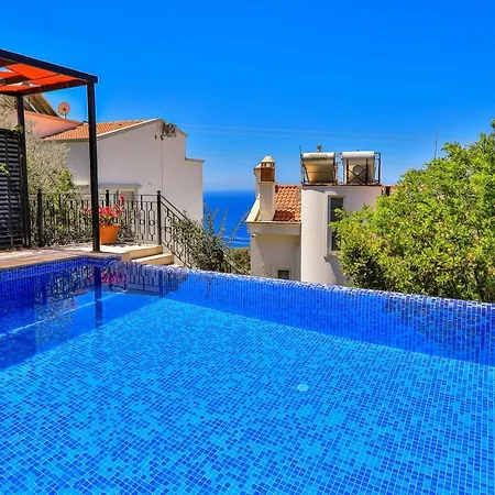 Celik * Kalkan