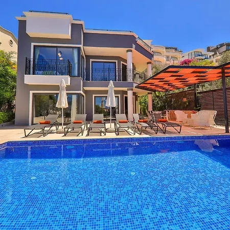 Celik Villa *